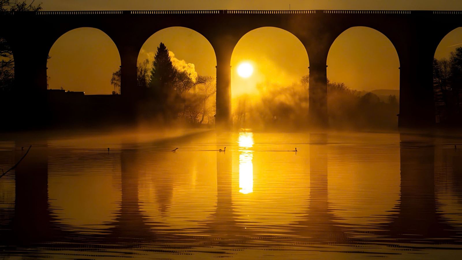 Nghề điều tra trong án có Luật sư - Áp lực tìm sự thật khách quan đến từ cả hai phía